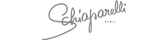 Schaiparelli.png